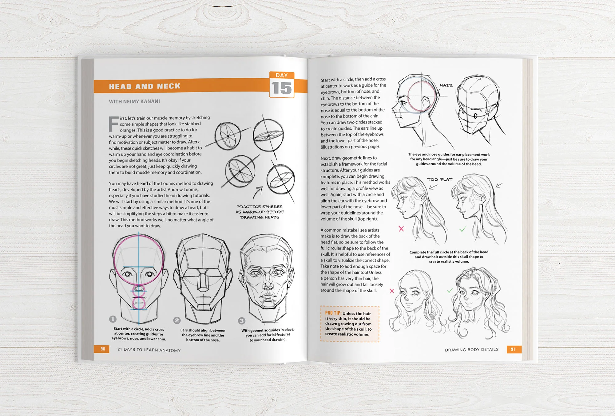 21 Days to Learn Anatomy - Image 11