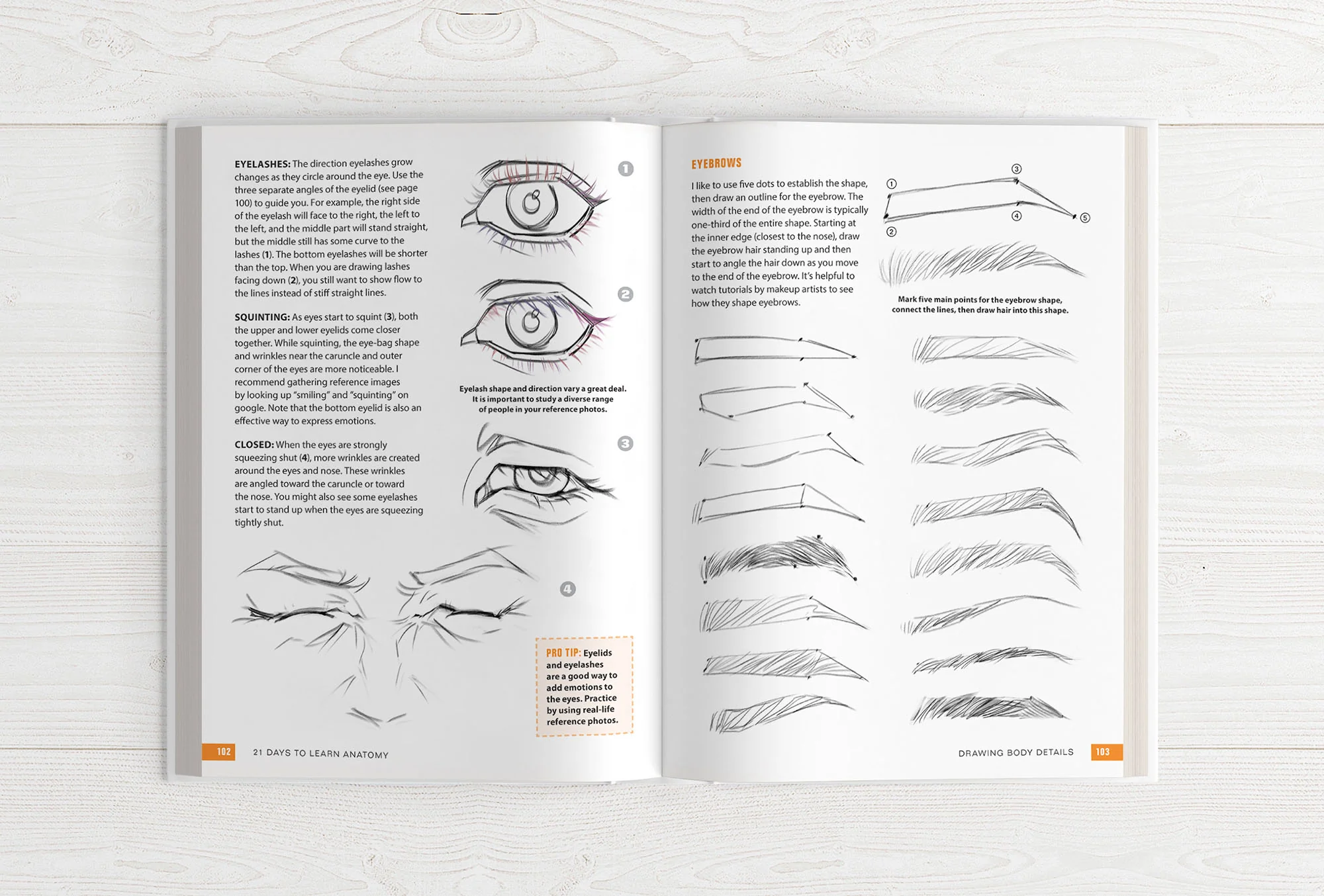 21 Days to Learn Anatomy - Image 13