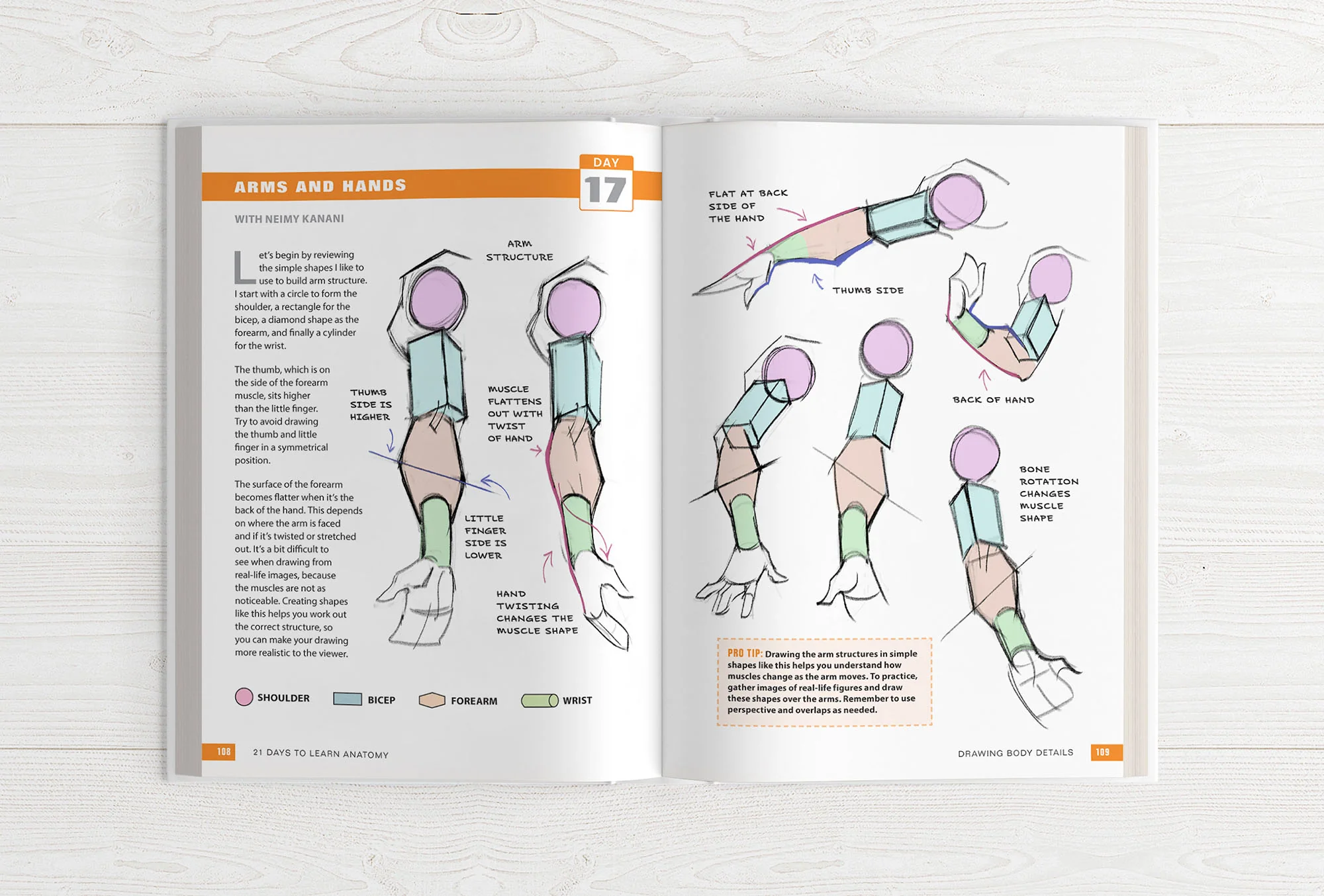 21 Days to Learn Anatomy - Image 14