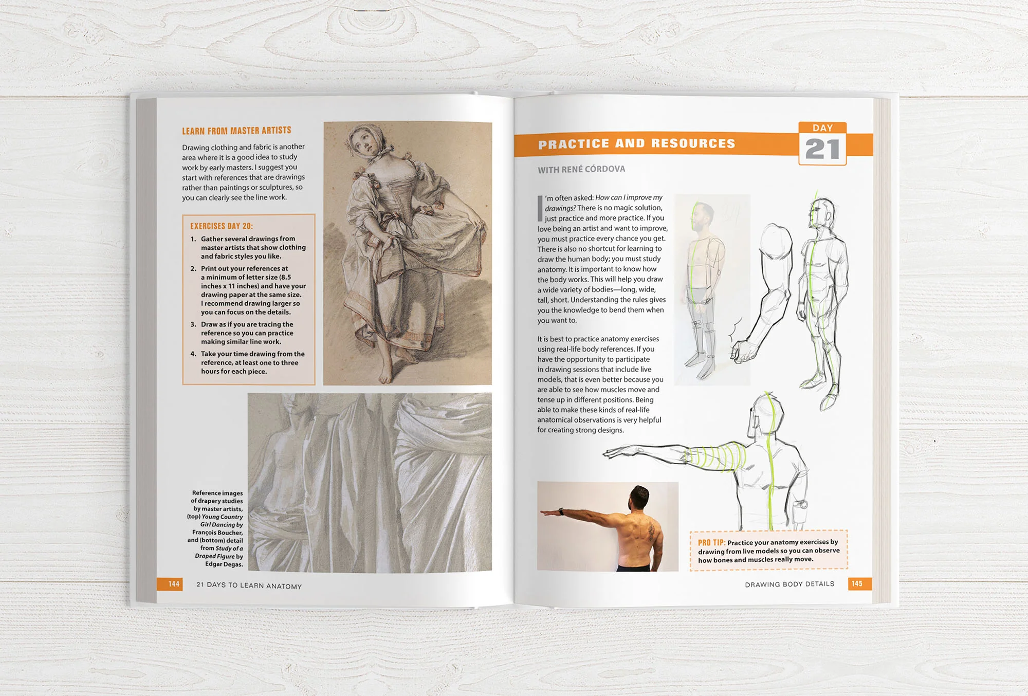 21 Days to Learn Anatomy - Image 20