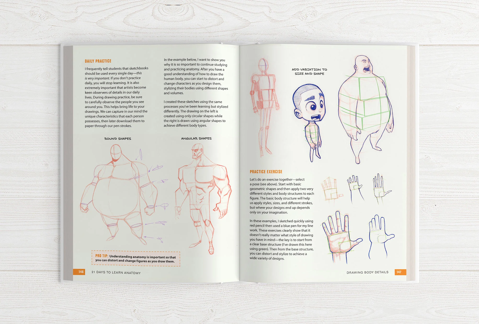 21 Days to Learn Anatomy - Image 21