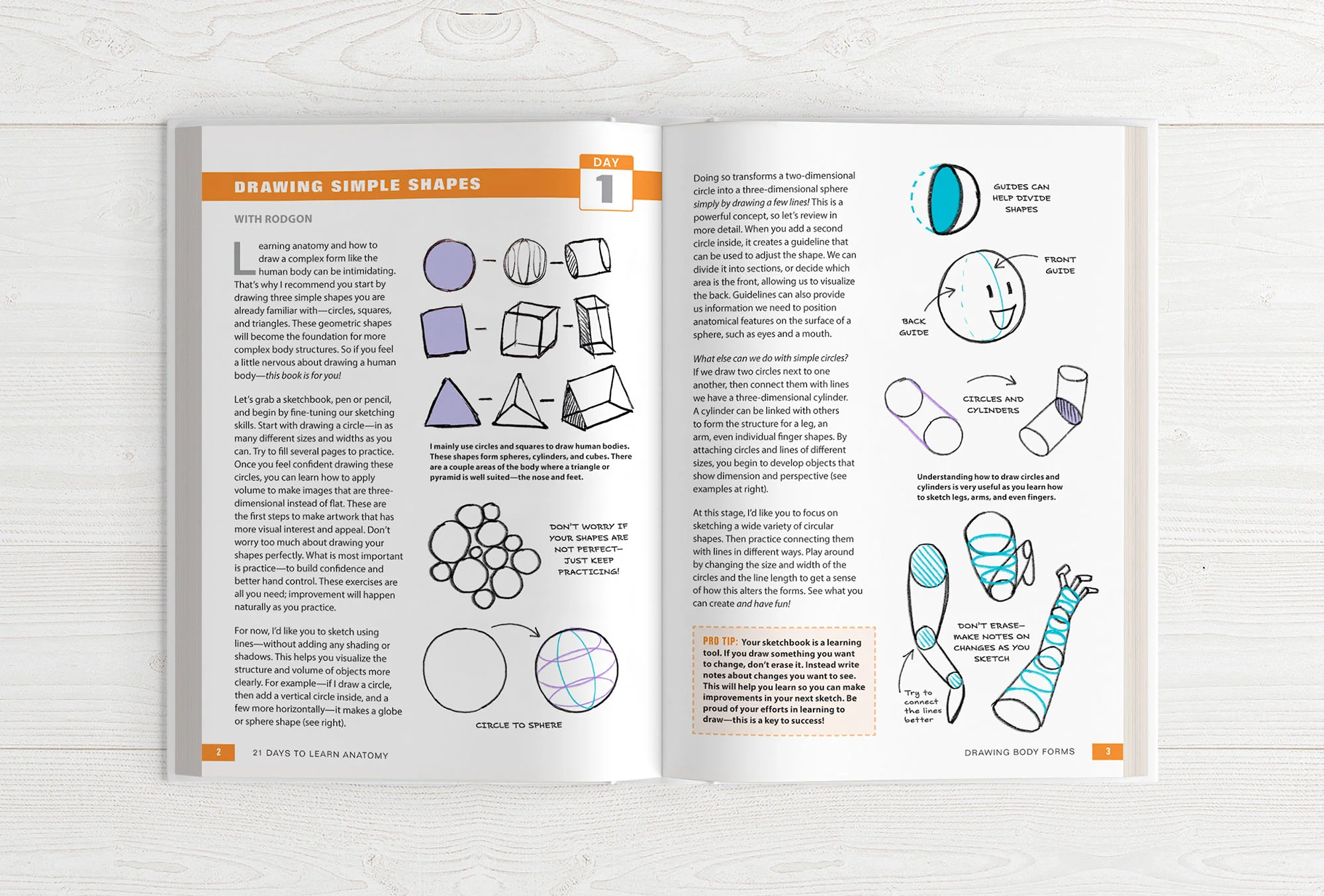 21 Days to Learn Anatomy - Image 4