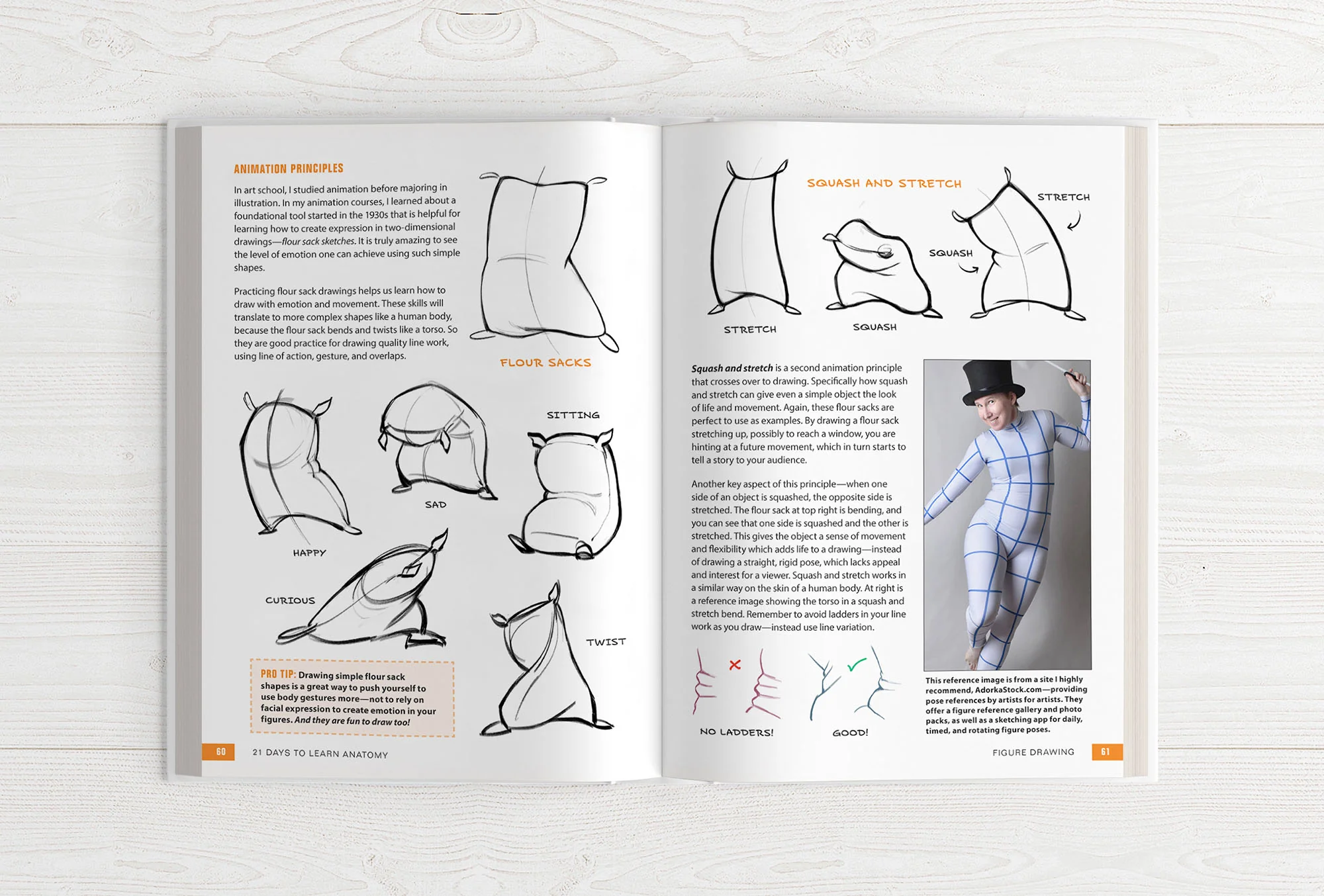 21 Days to Learn Anatomy - Image 8