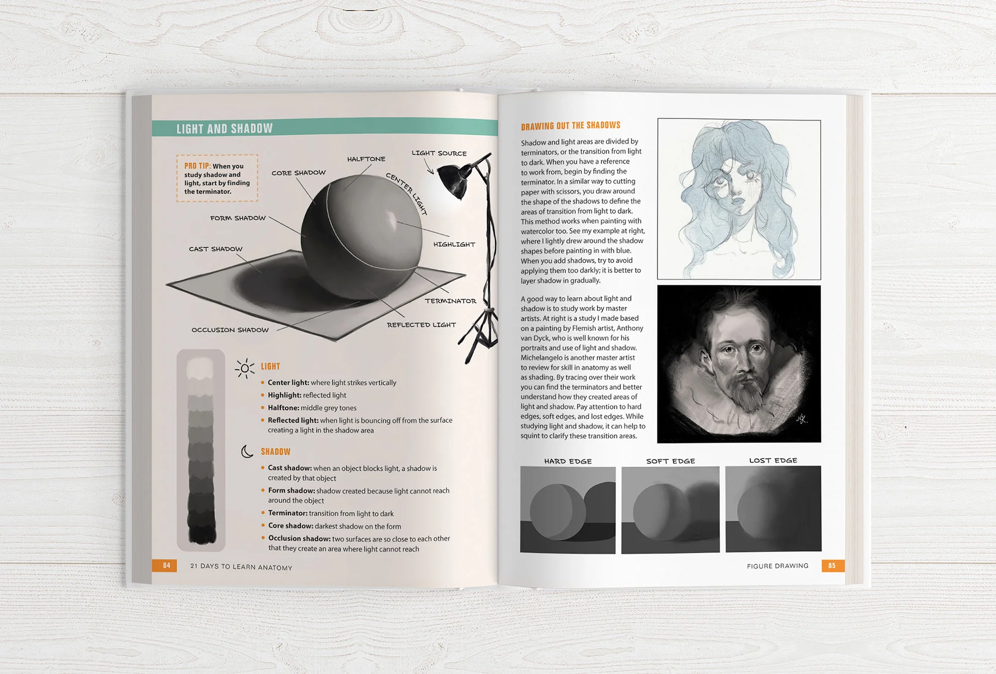 21 Days to Learn Anatomy - Image 10