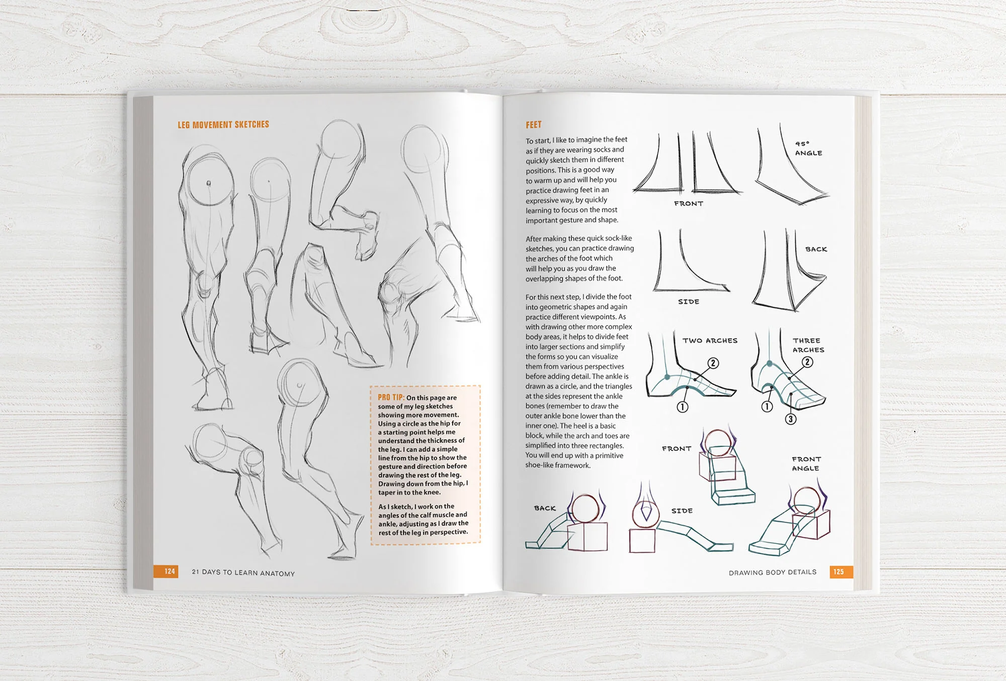 The Character Designer & 21 Days to Learn Anatomy (HARDCOVERS + EBOOKS) - Image 19