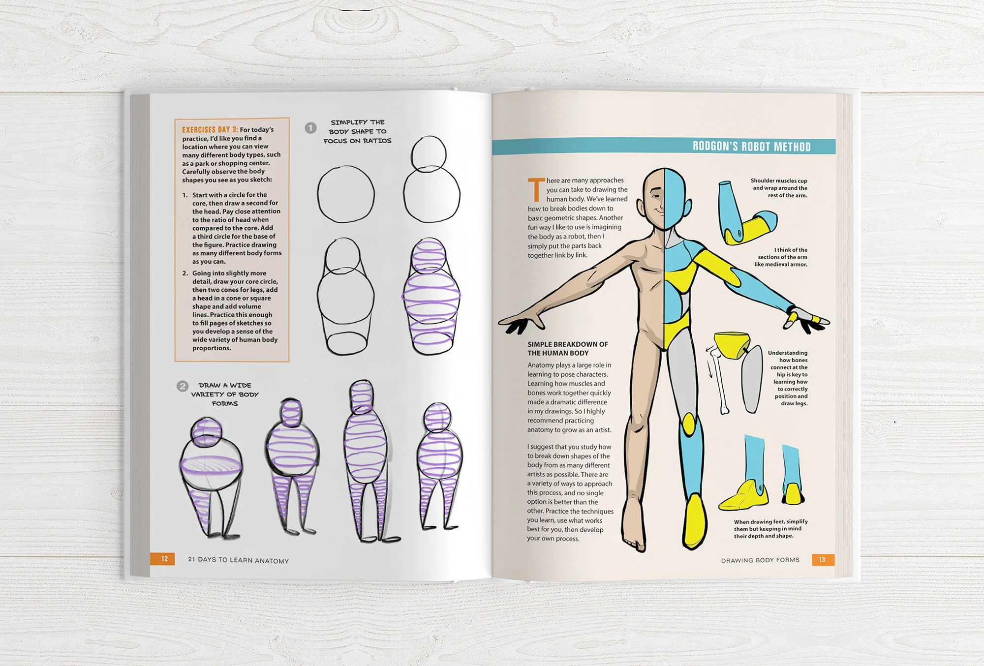 The Character Designer & 21 Days to Learn Anatomy (HARDCOVERS + EBOOKS) - Image 22