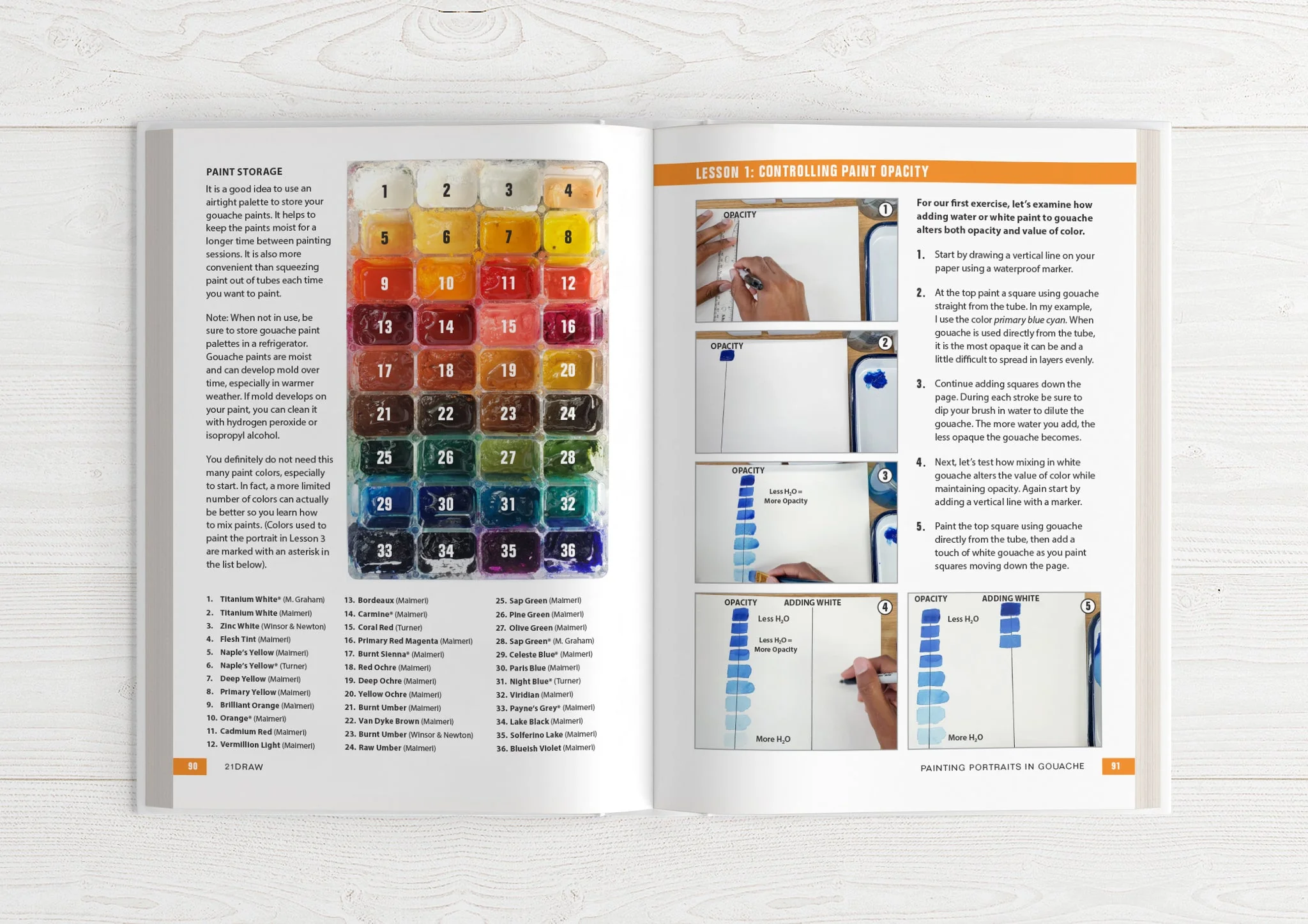 Illustrator's Guidebook 2 & 3 (HARDCOVER + EBOOKS) - Image 16