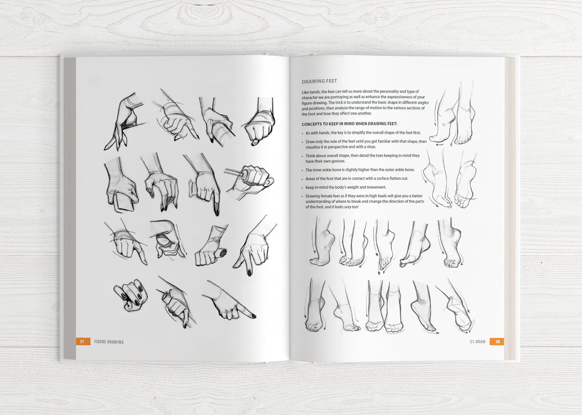 Illustrator's Guidebook 1 - Image 5