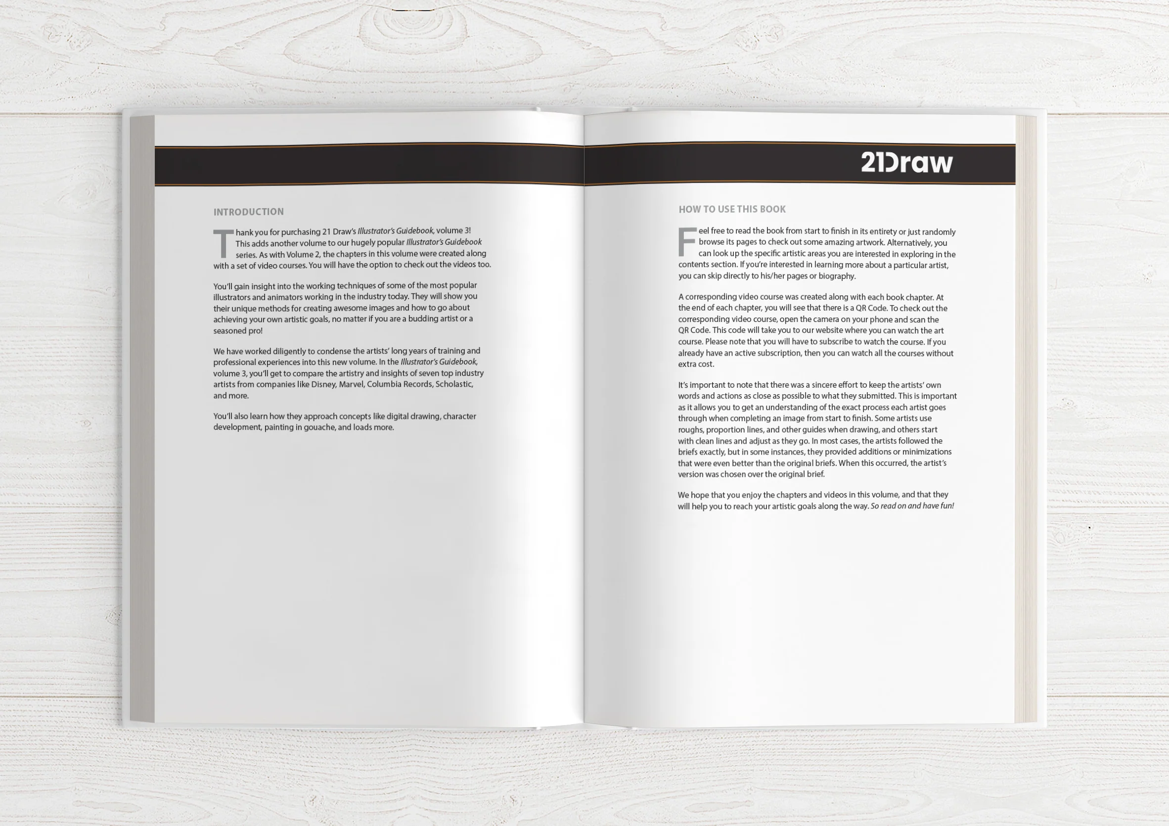 Illustrator's Guidebook 3 - Image 4