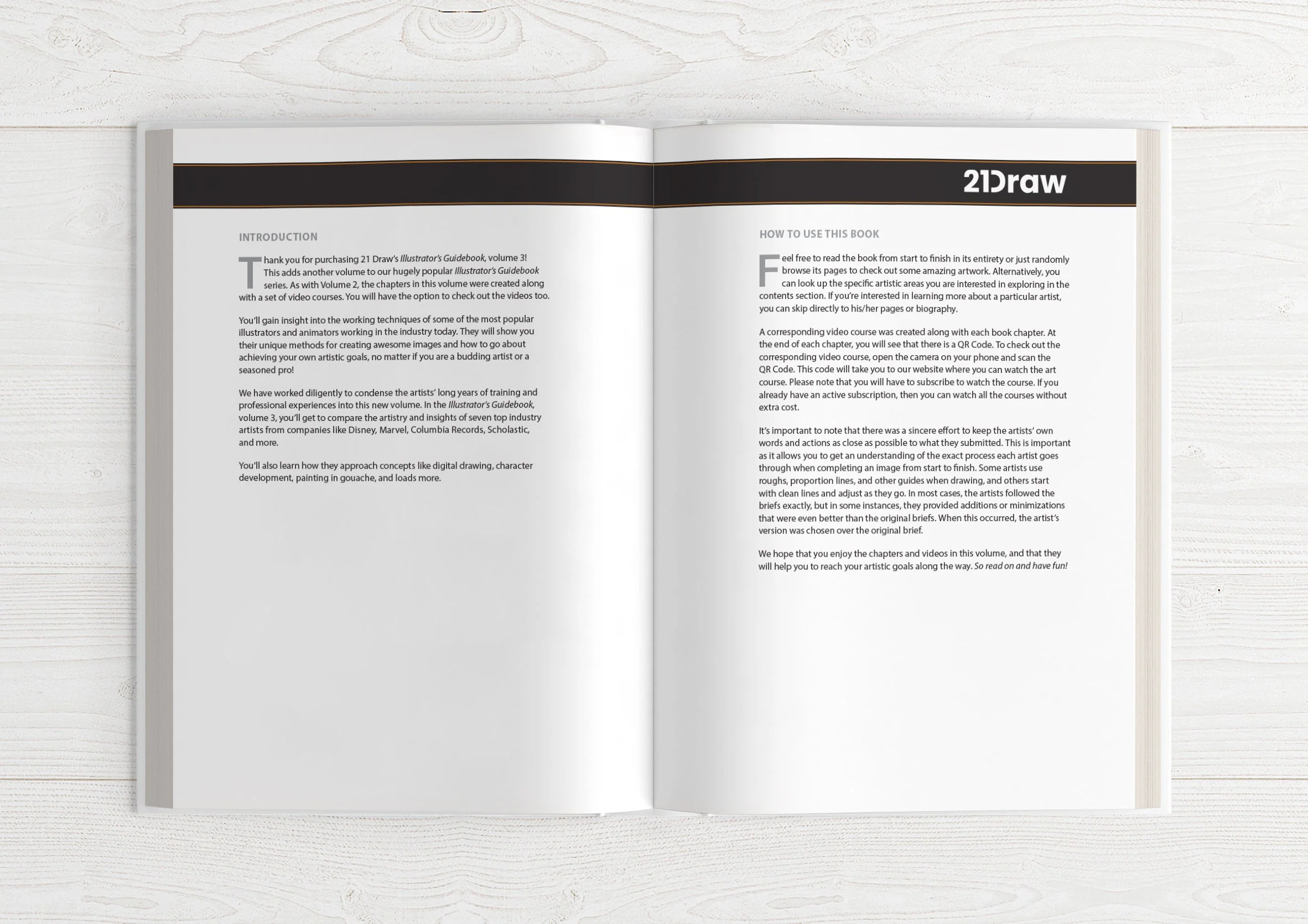 Manuel de l'illustrateur 3 - Image 4